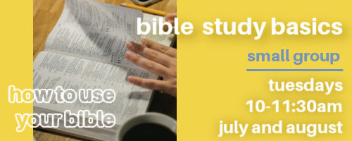 Bible Study Basics Small Group 2024